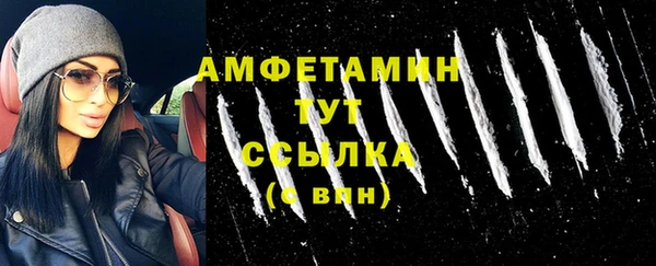 Альфа ПВП Инсар