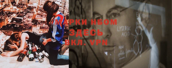 Альфа ПВП Инсар