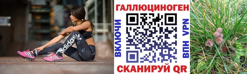 Купить Таруса Галлюциногенные грибы мухоморы