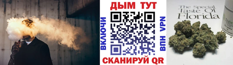 Купить где  Таруса  Канабис планчик 